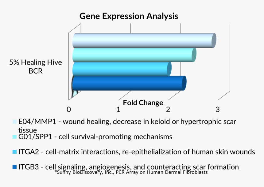 Diagram, HD Png Download