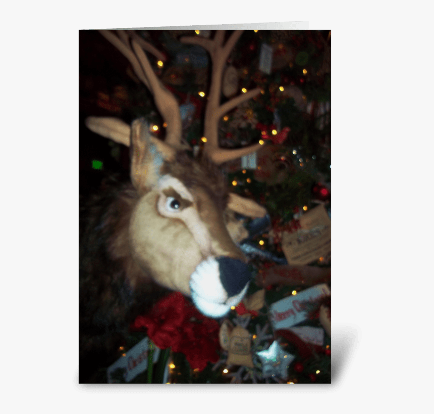 It Is Christmas, Deer Greeting Card - Reindeer, HD Png Download