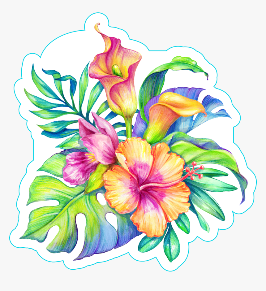 Bird Of Paradise Plant Png -watercolor Floral Illustration - Tropical Flowers, Transparent Png