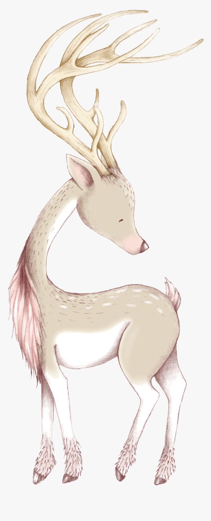 Cute Christmas Deer Ornaments & Oval Ornament , Png - Deer, Transparent Png