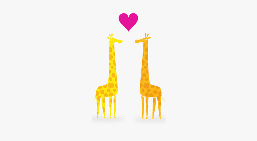 Giraffe, HD Png Download