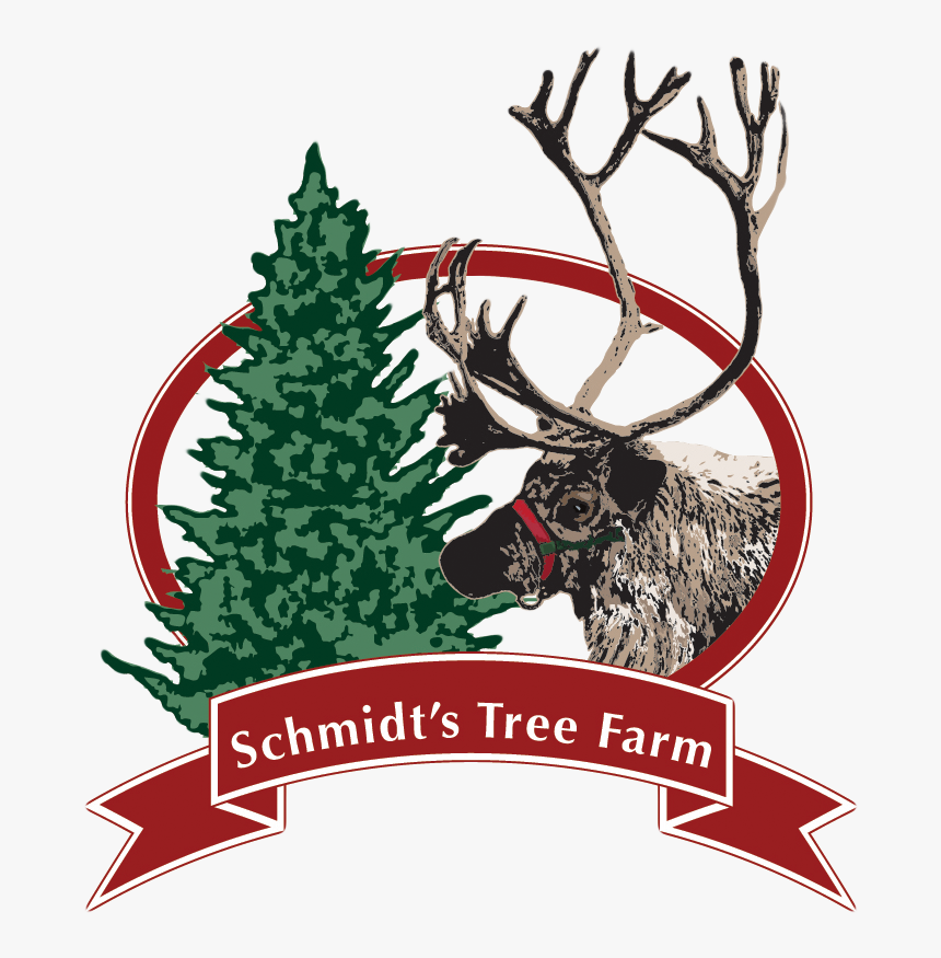 Schmidt S Tree Farm Logo - Christmas Tree, HD Png Download