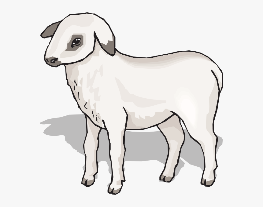 Lamb Svg Clip Arts - Animal Imagenes Con Sombra, HD Png Download