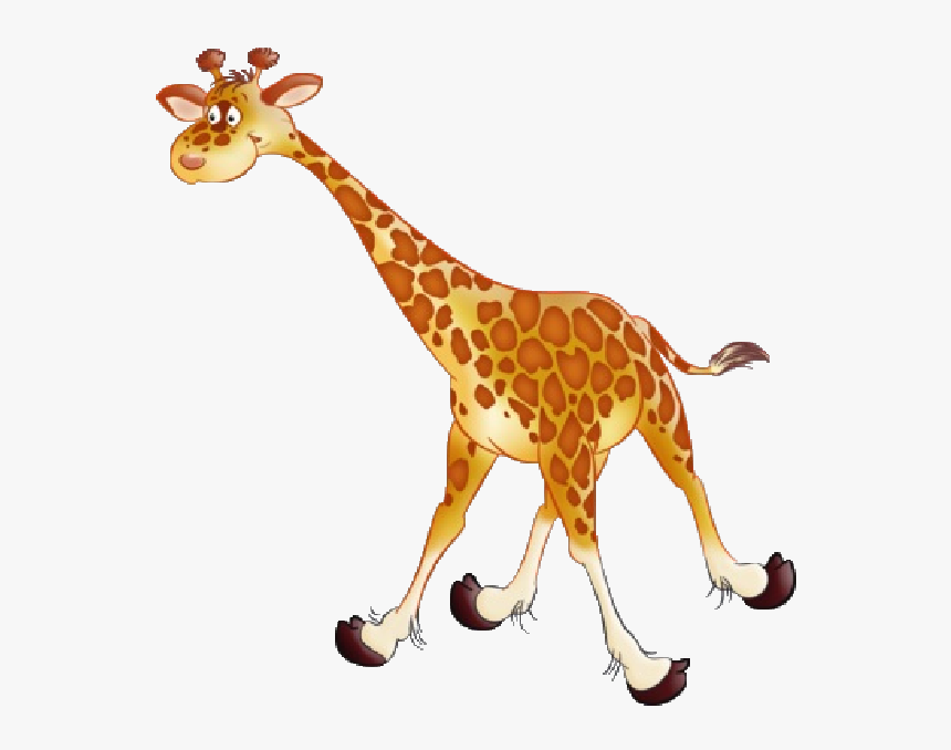 Giraffe Images - Fun Giraffe Animal Clipart, HD Png Download