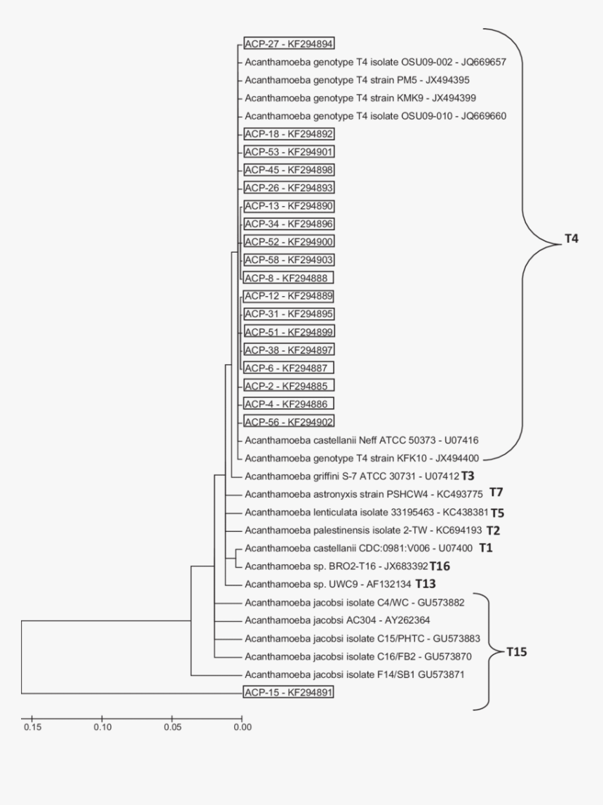 Document, HD Png Download