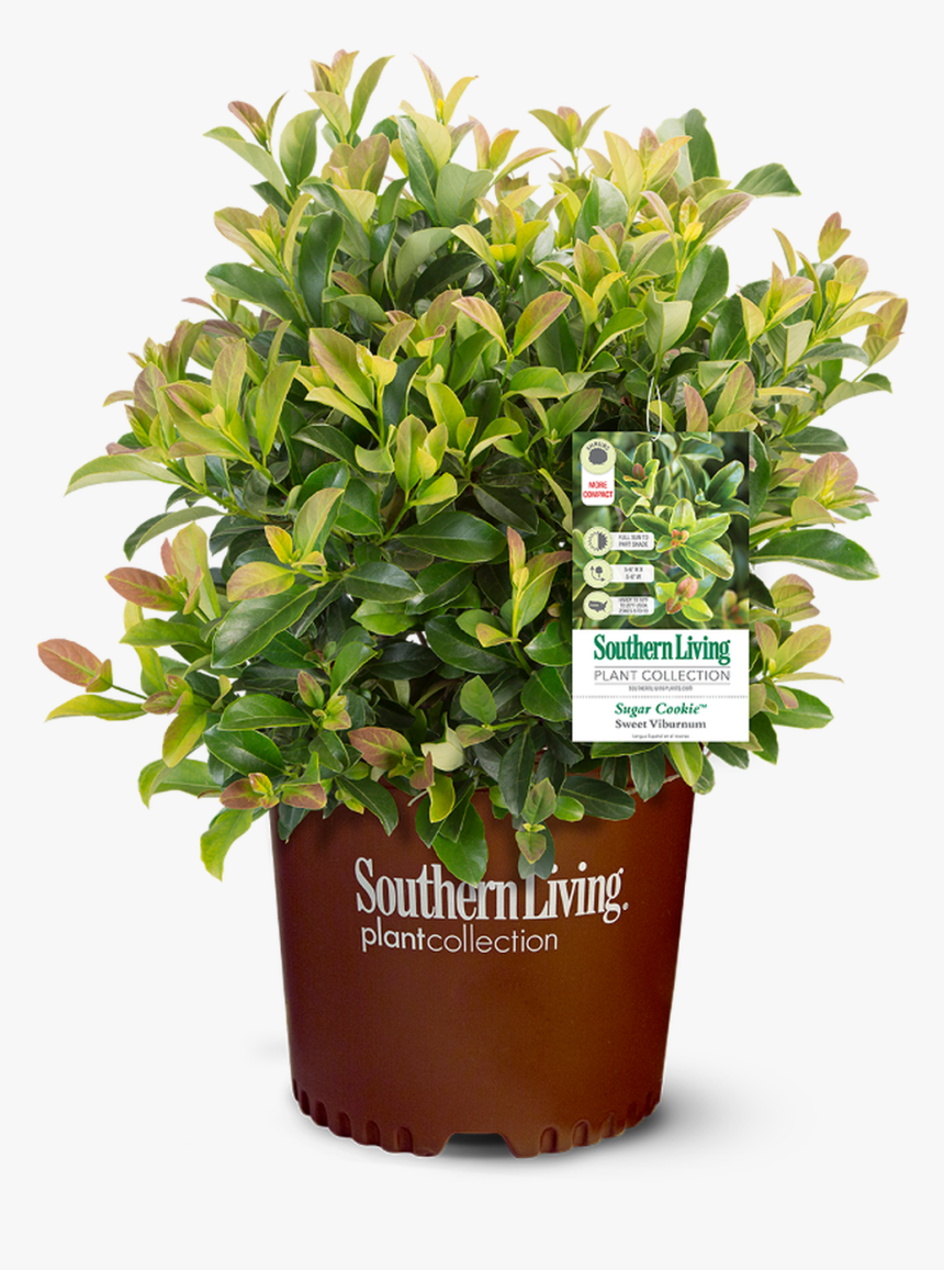 Southern Living, HD Png Download