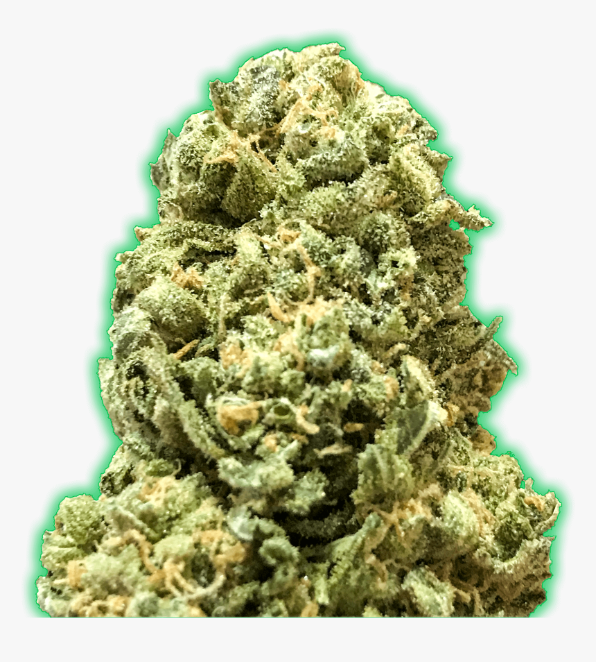Monster Girl Scout Cookies Feminised Seeds 
 Title - Rock, HD Png Download