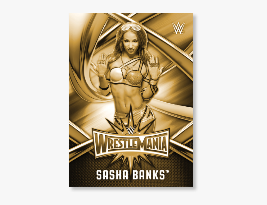 Sasha Banks Logo Png - Wwe Sin Cara Png 2019, Transparent Png