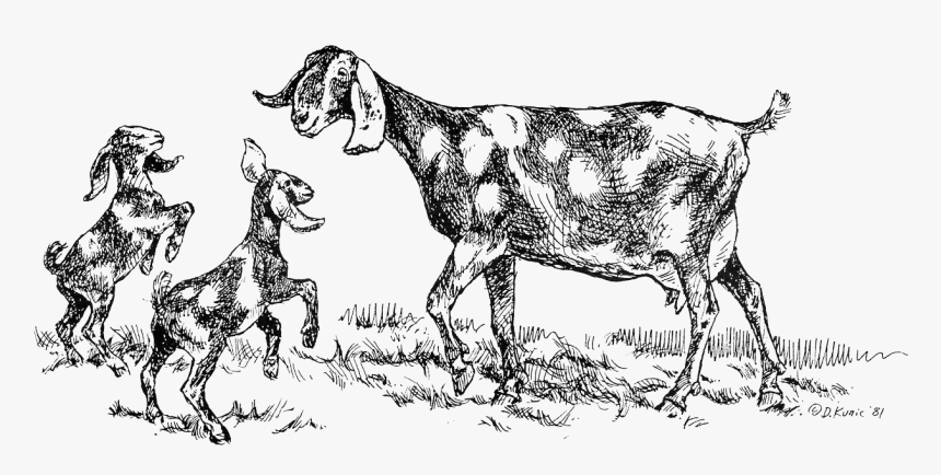 Goat Clipart Foot - Cartoon, HD Png Download , Transparent Png Image