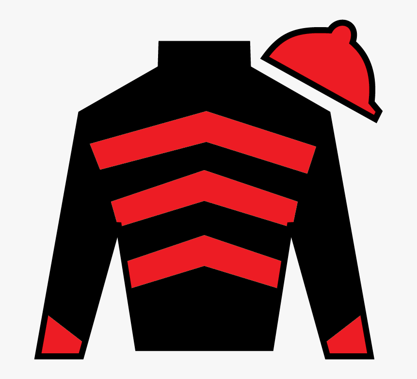 Kentucky Derby Silks In Post Position Order Tdp News - Kentucky Derby Silks 2019, HD Png Download