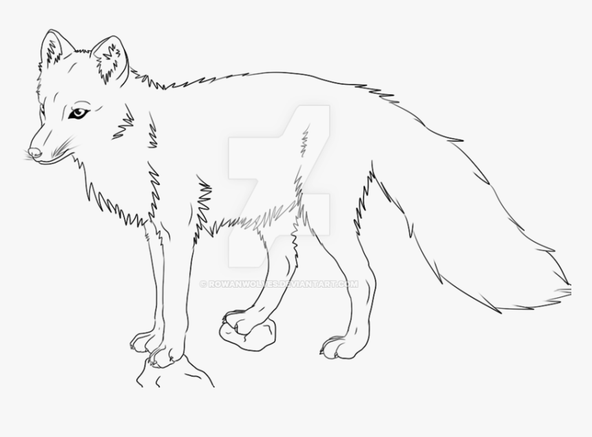 Wildlife Drawing Wolf - Line Drawing Wolf, HD Png Download