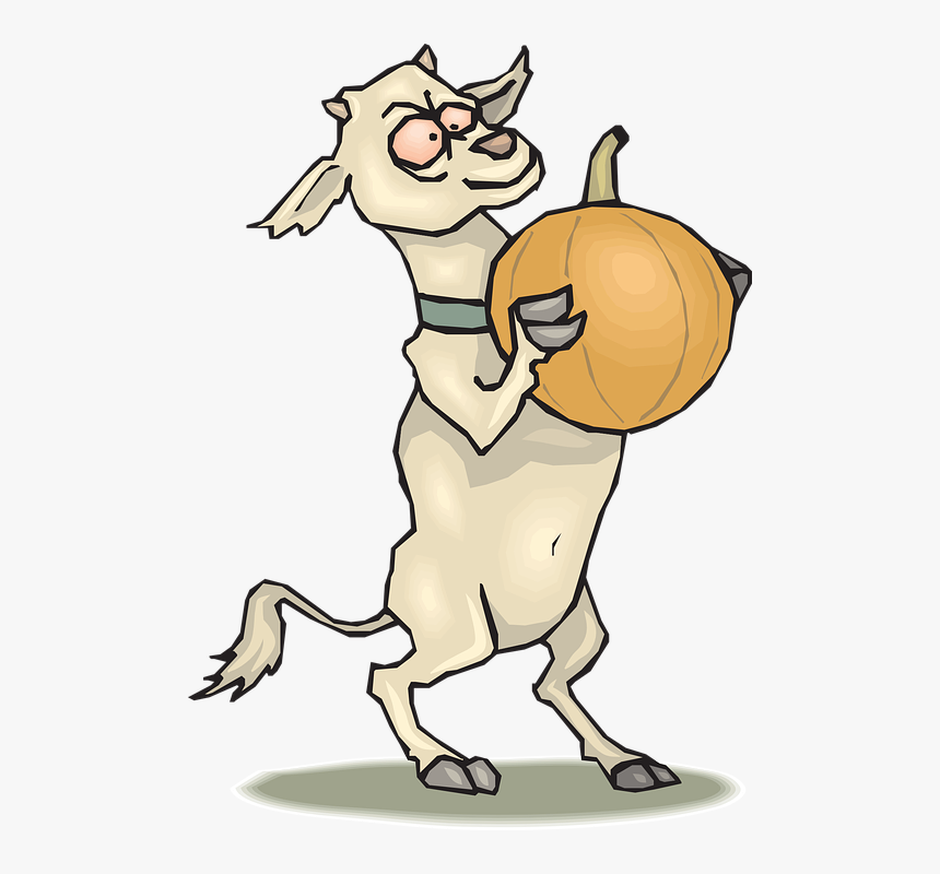 Pumpkin, Crazy, Goat, Standing, Animal - Cartoon Goat Standing Up, HD Png Download