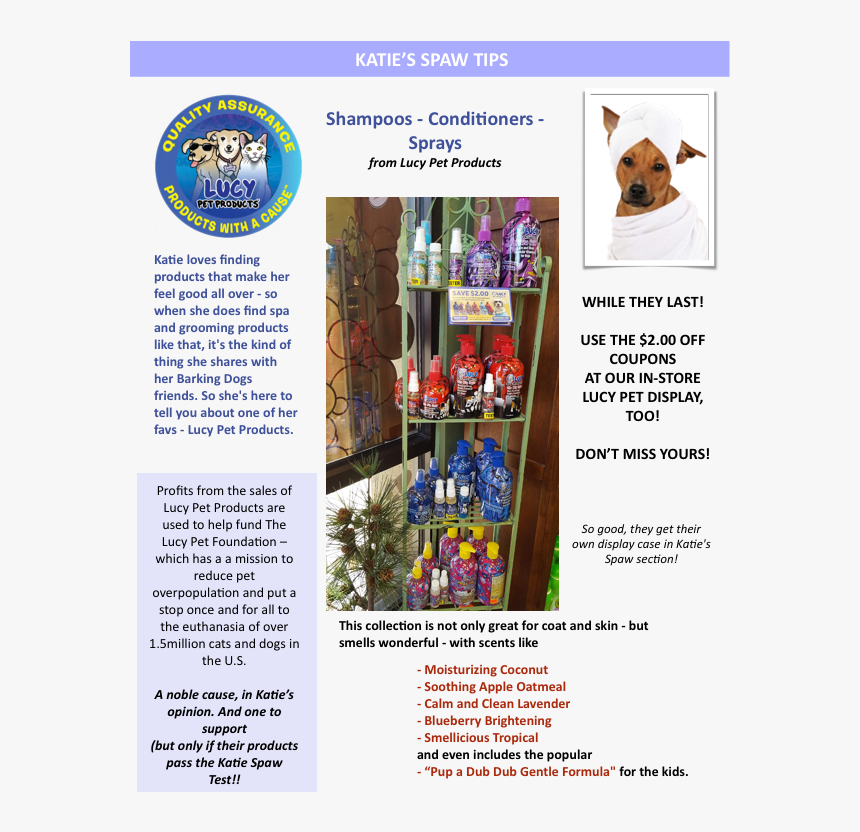 12-katie Spaw - Flyer, HD Png Download