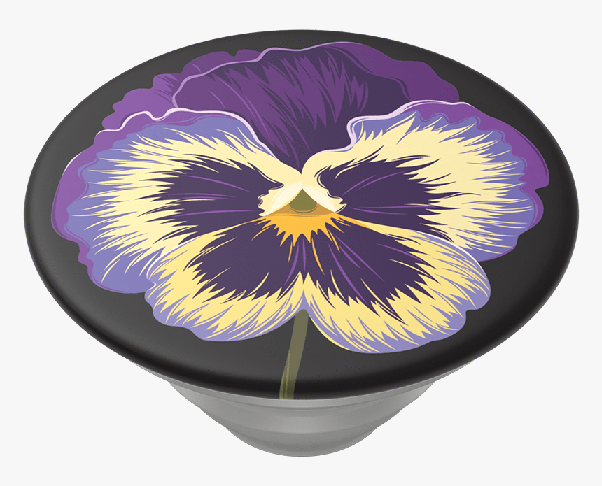 Pansy, HD Png Download
