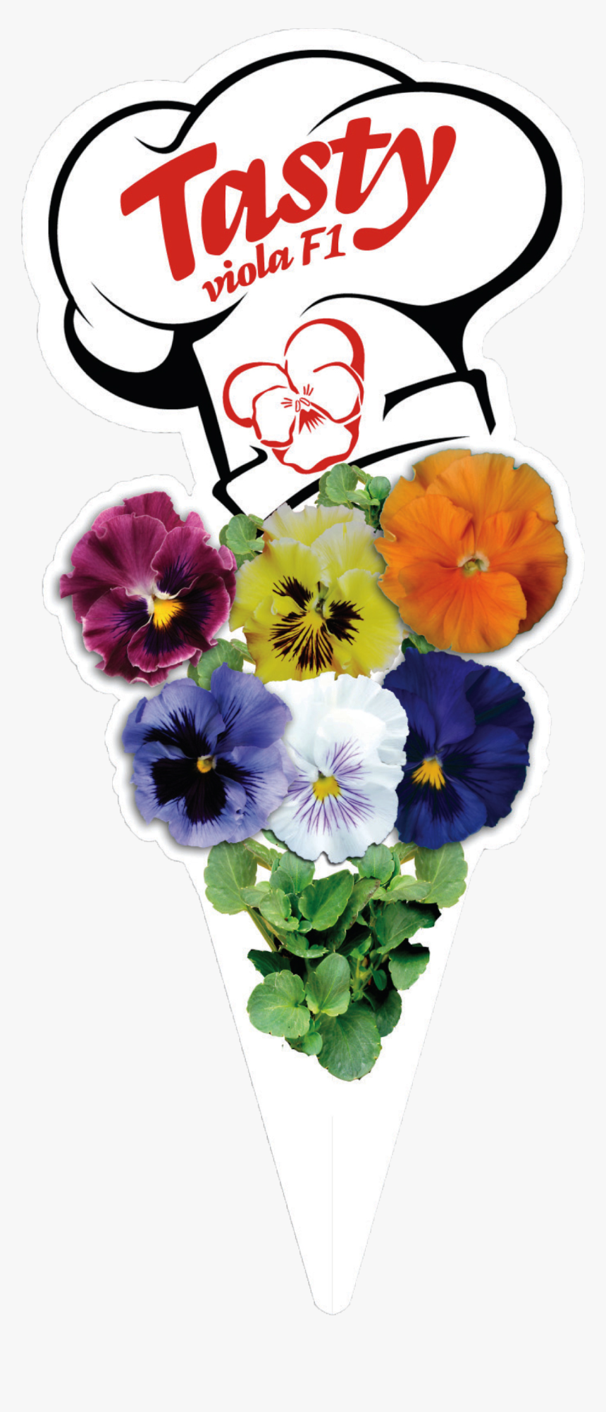 Click To Enlarge Image 5 V Copyright Marda - Pansy, HD Png Download