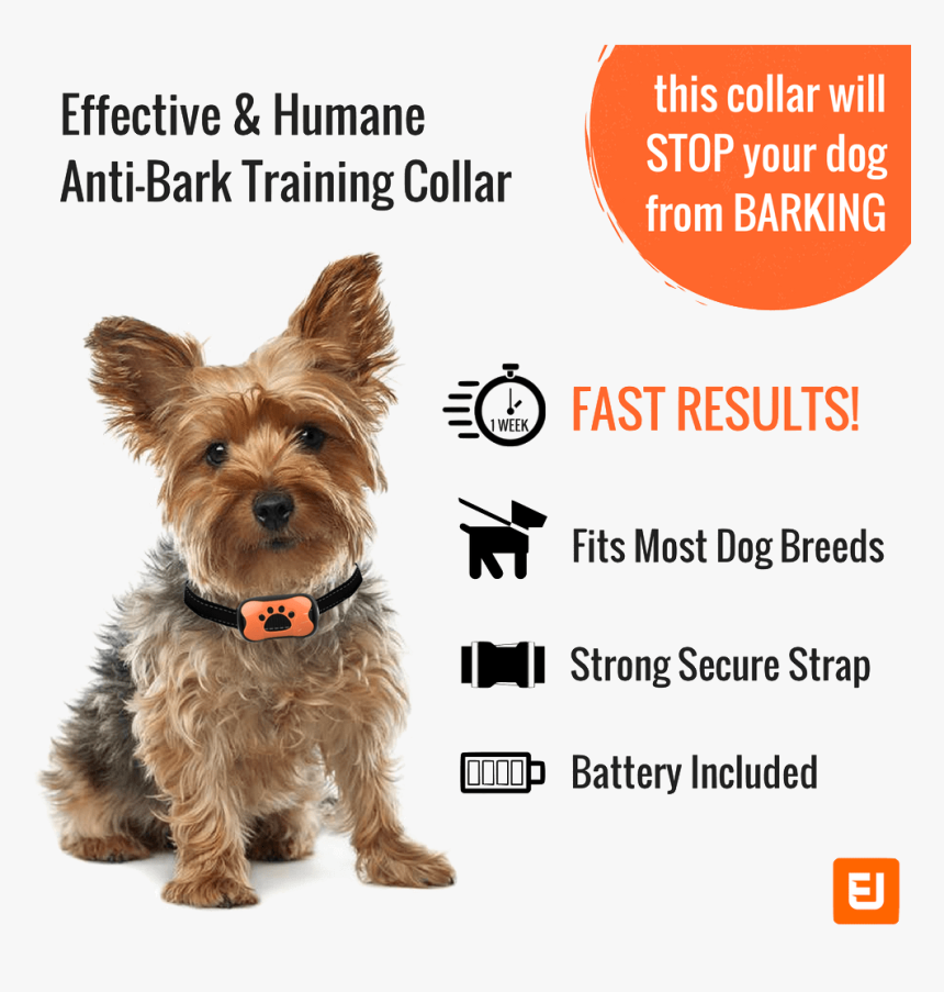 Yorkshire Terrier, HD Png Download