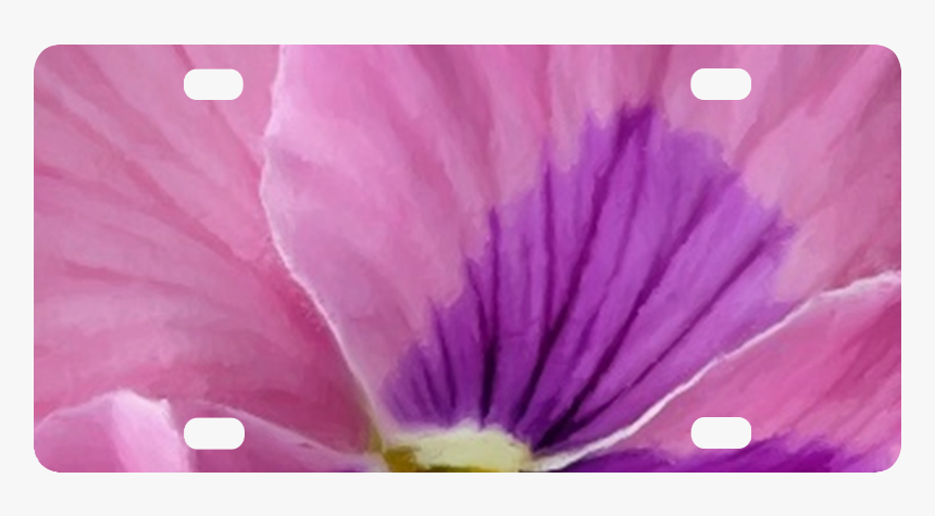 Pink And Purple Pansy Classic License Plate - Petunia, HD Png Download