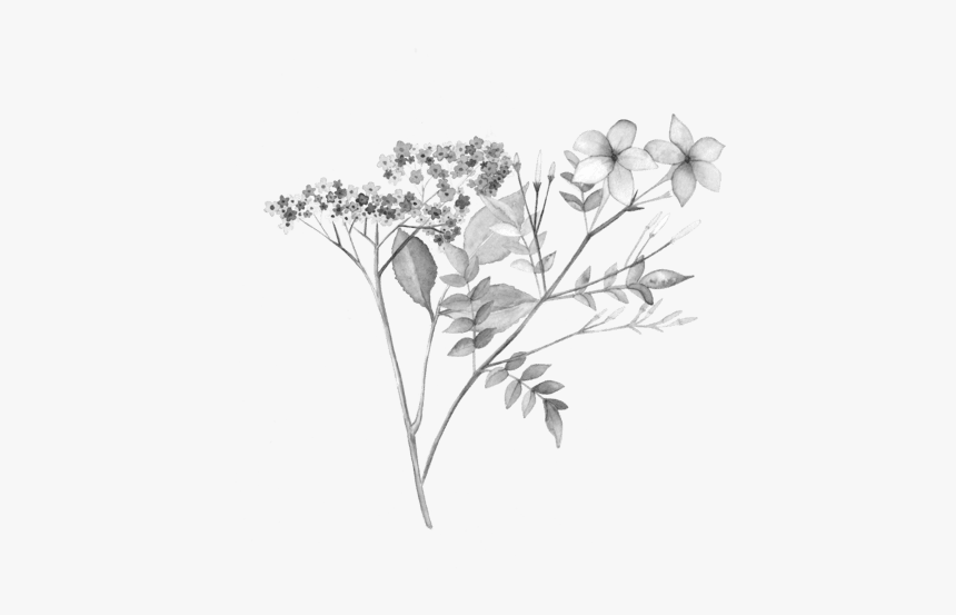 Bouquet, HD Png Download