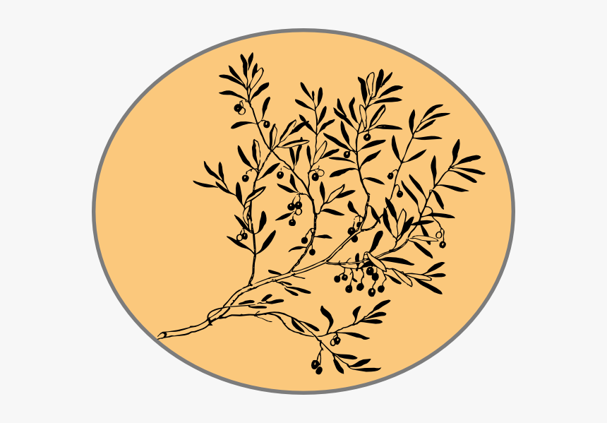 Zeytin Dalı Tablo, HD Png Download