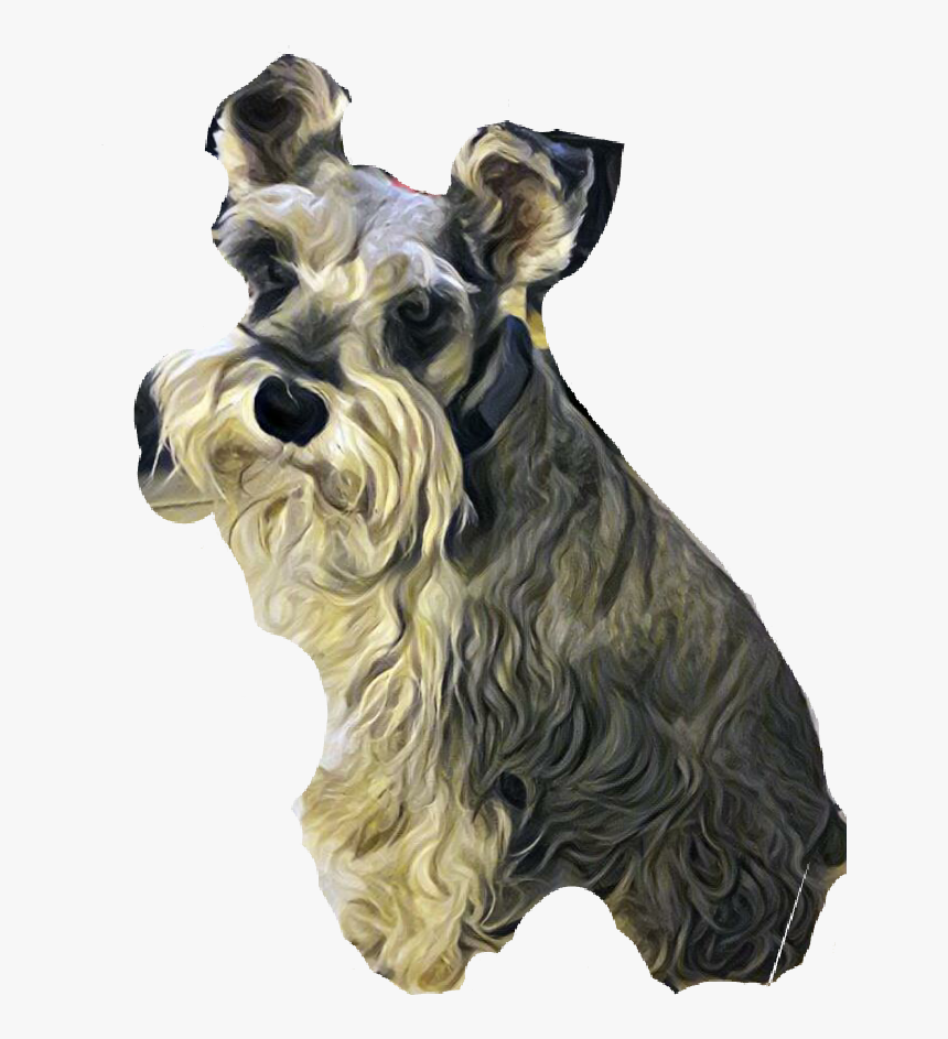 Standard Schnauzer , Png Download - Standard Schnauzer, Transparent Png