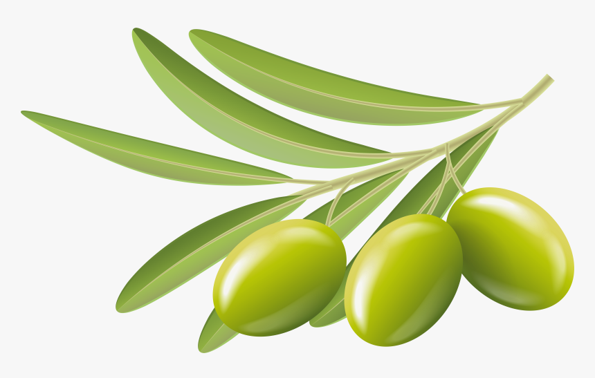 Clip Art Olive Clipart - Olives Clipart Png, Transparent Png