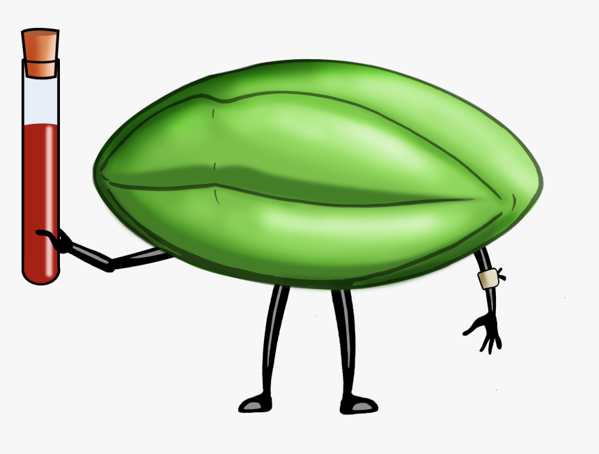 Clip Art, HD Png Download