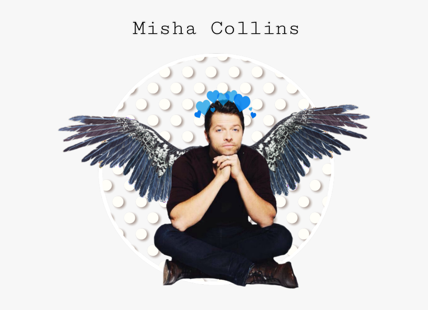 Image - Black Angel Wings Transparent Background, HD Png Download