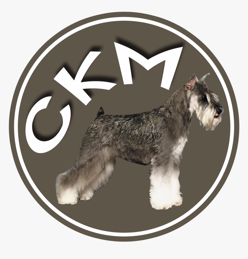Standard Schnauzer, HD Png Download