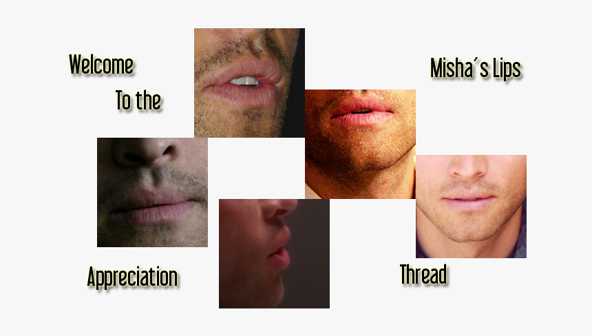 Collage, HD Png Download