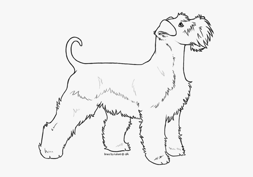 Miniature Schnauzer Line Drawing, HD Png Download