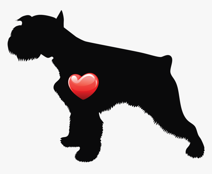 Miniature Schnauzer, HD Png Download