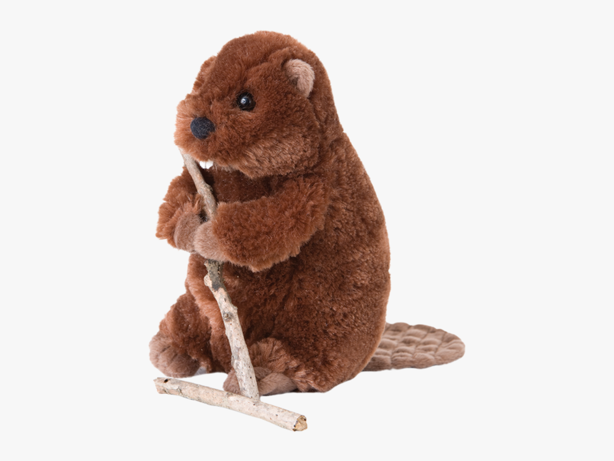 Beavers Stuffed Animals Transparent, HD Png Download