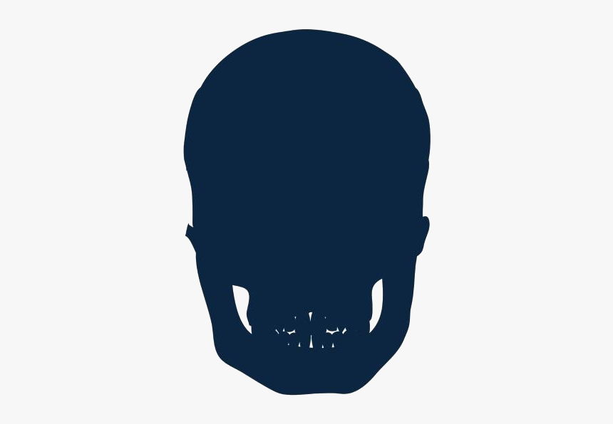 Transparent Skull Art Clipart, Skull Art Png Image - Illustration, Png Download