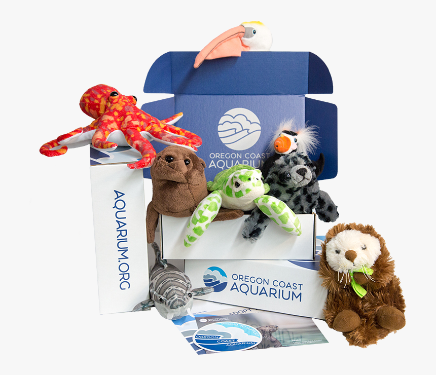 Aquarium Of The Pacific Toys, HD Png Download