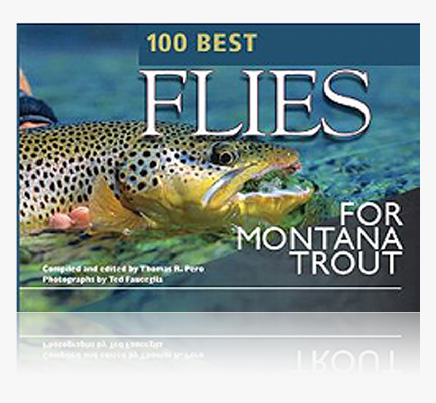 Trout, HD Png Download