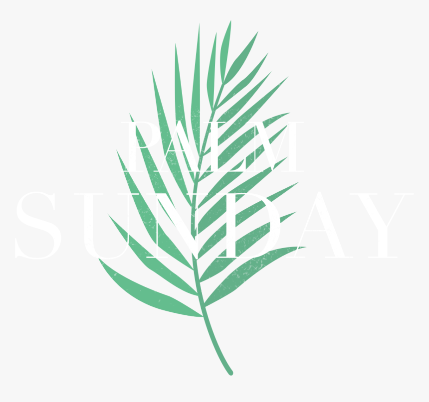 Hojas De Palmera Tropicales, HD Png Download