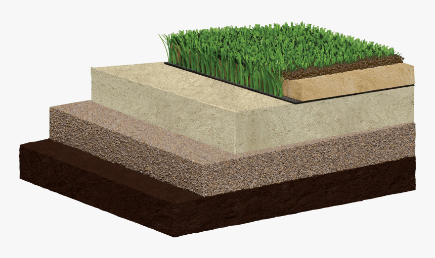 Hats Benefits - Hedge, HD Png Download