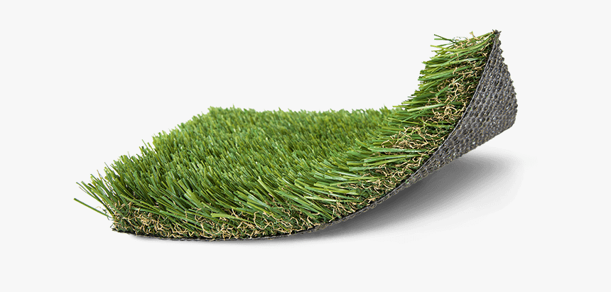 Moss, HD Png Download