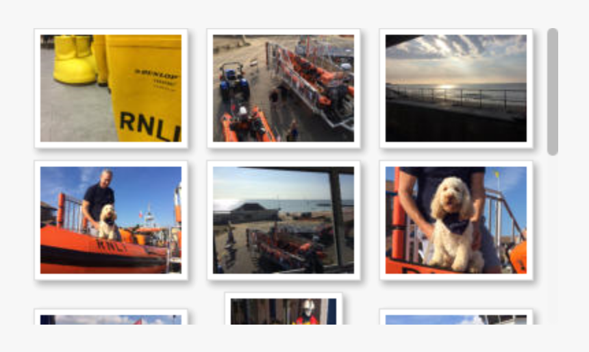 Dog, HD Png Download