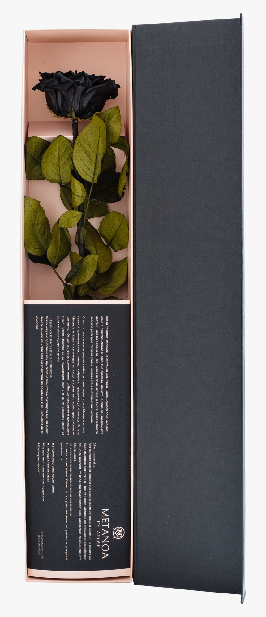Bancha, HD Png Download