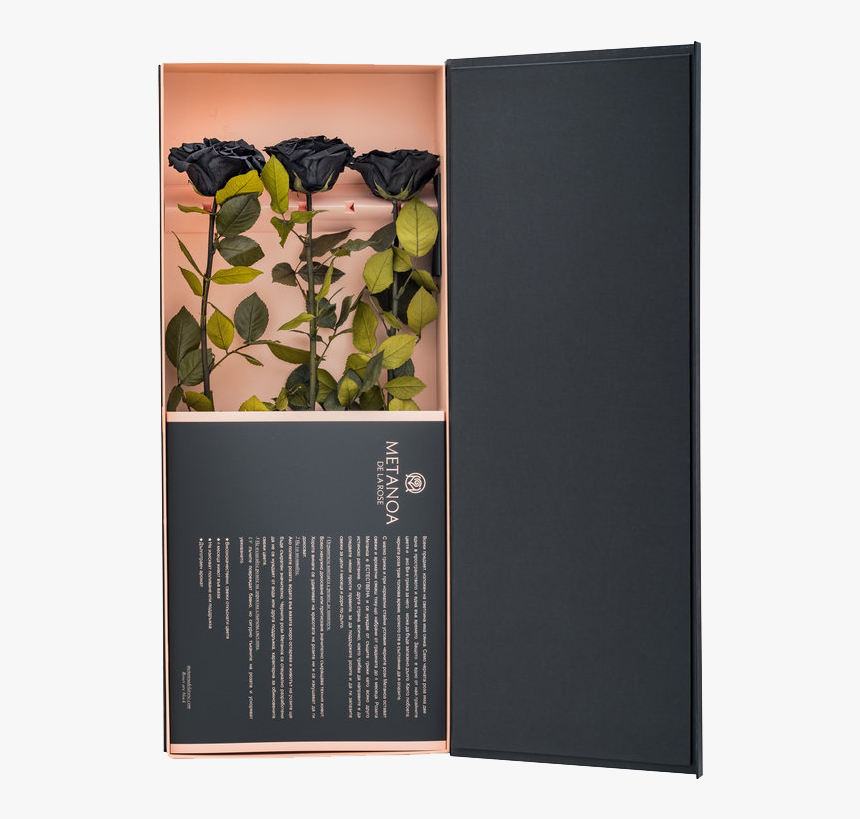 Paper, HD Png Download