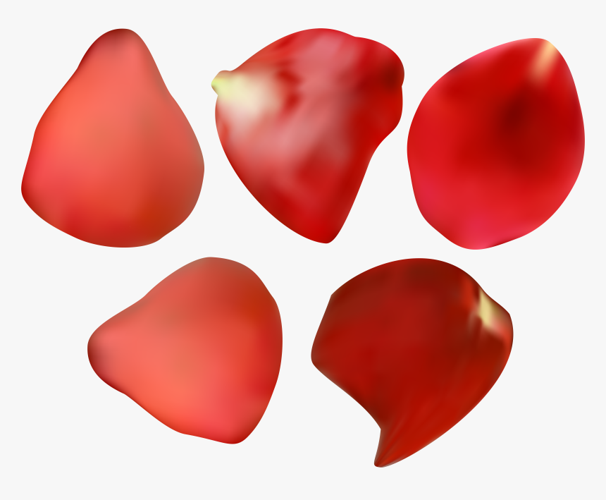 Vector Black And White Download Petals Transparent, HD Png Download