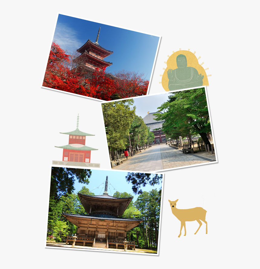 Shrine Approach Shrine Shrine Approach Shrine - White-tailed Deer, HD Png Download