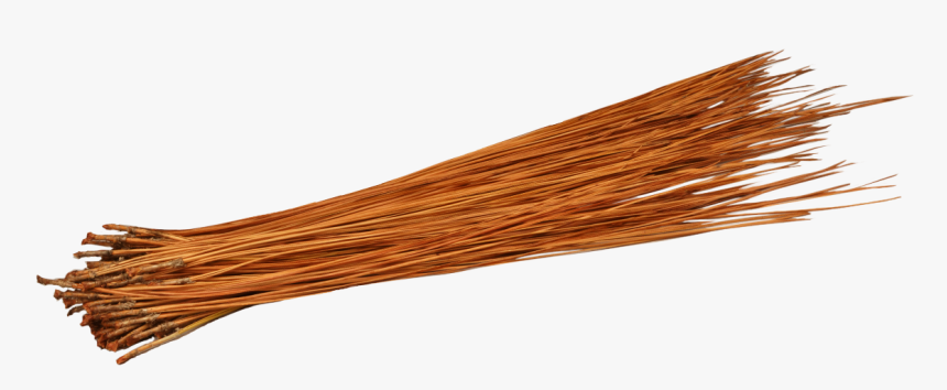 Pine Needles 2oz Bundle - Wood, HD Png Download