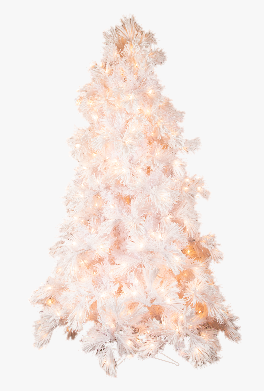 Christmas Tree, HD Png Download