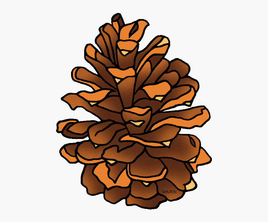 Clipart Pine Cone - Pine Cone Clipart Png, Transparent Png
