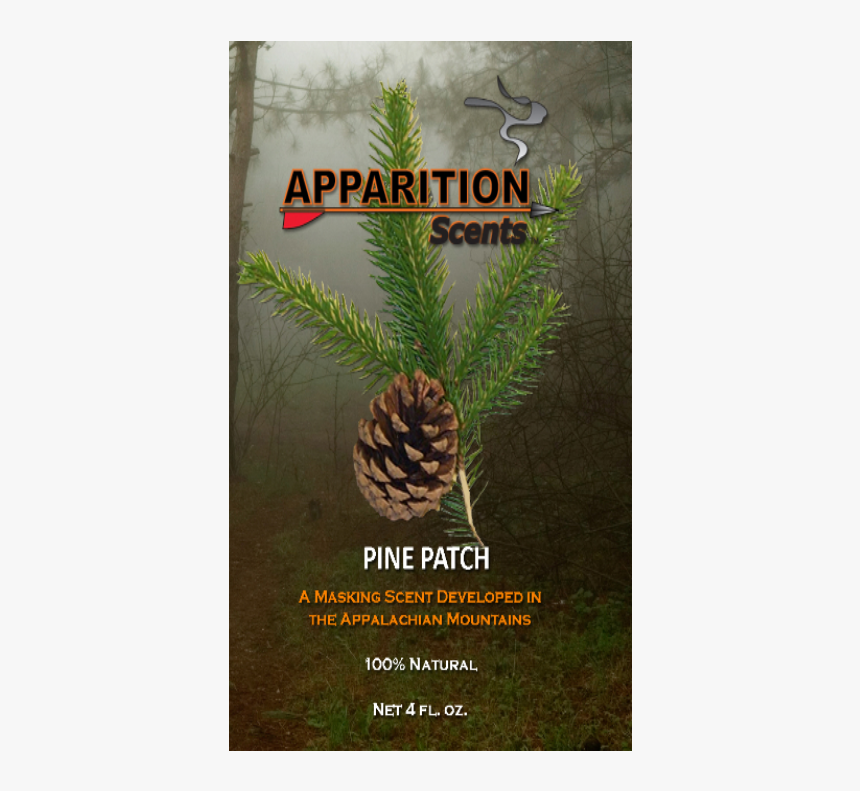 Poster, HD Png Download