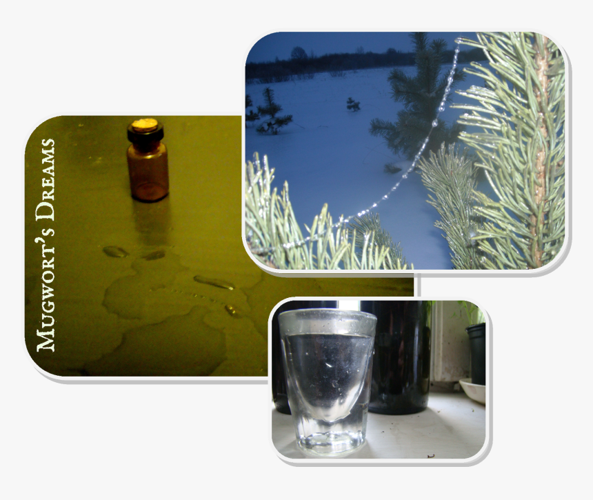 Alcoholic Beverage, HD Png Download