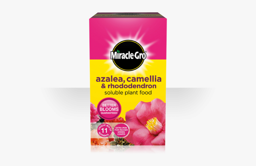 Miracle Gro Azalea Camellia And Rhododendron, HD Png Download