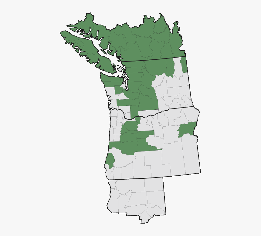 Evergreen Huckleberry Range Map, HD Png Download